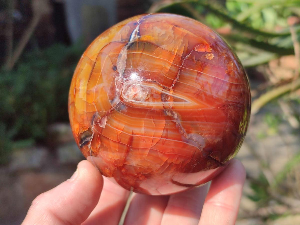 Polished Carnelian Agate Gemstone Spheres x 2 From Madagascar - Toprock Gemstones and Minerals 