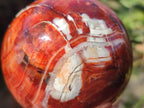 Polished Carnelian Agate Gemstone Spheres x 2 From Madagascar - Toprock Gemstones and Minerals 