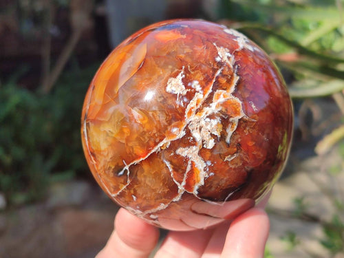 Polished Carnelian Agate Gemstone Spheres x 2 From Madagascar - Toprock Gemstones and Minerals 
