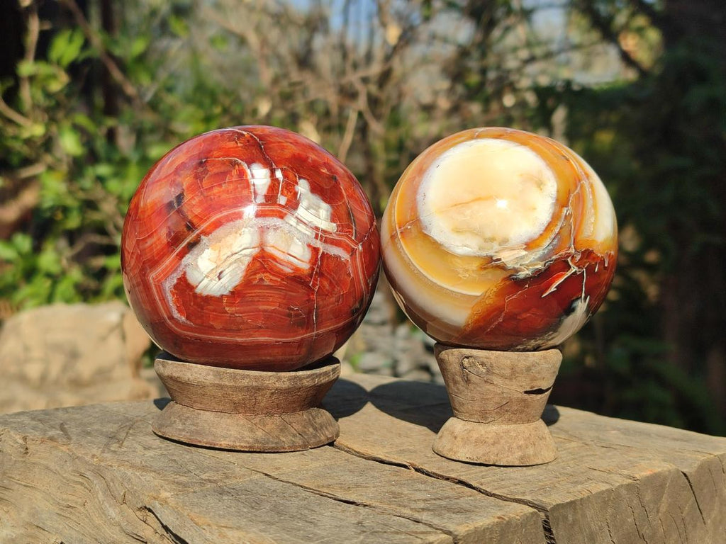 Polished Carnelian Agate Gemstone Spheres x 2 From Madagascar - Toprock Gemstones and Minerals 