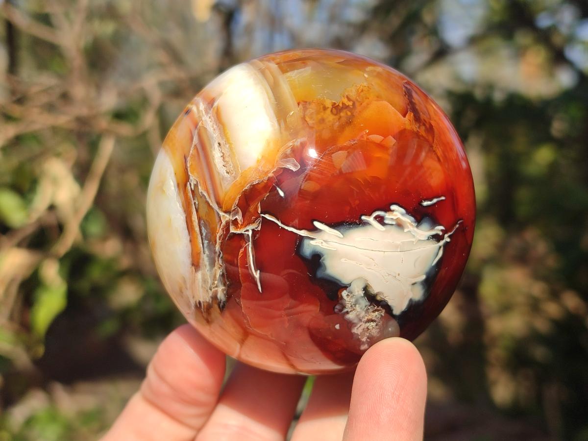 Polished Carnelian Agate Gemstone Spheres x 2 From Madagascar - Toprock Gemstones and Minerals 