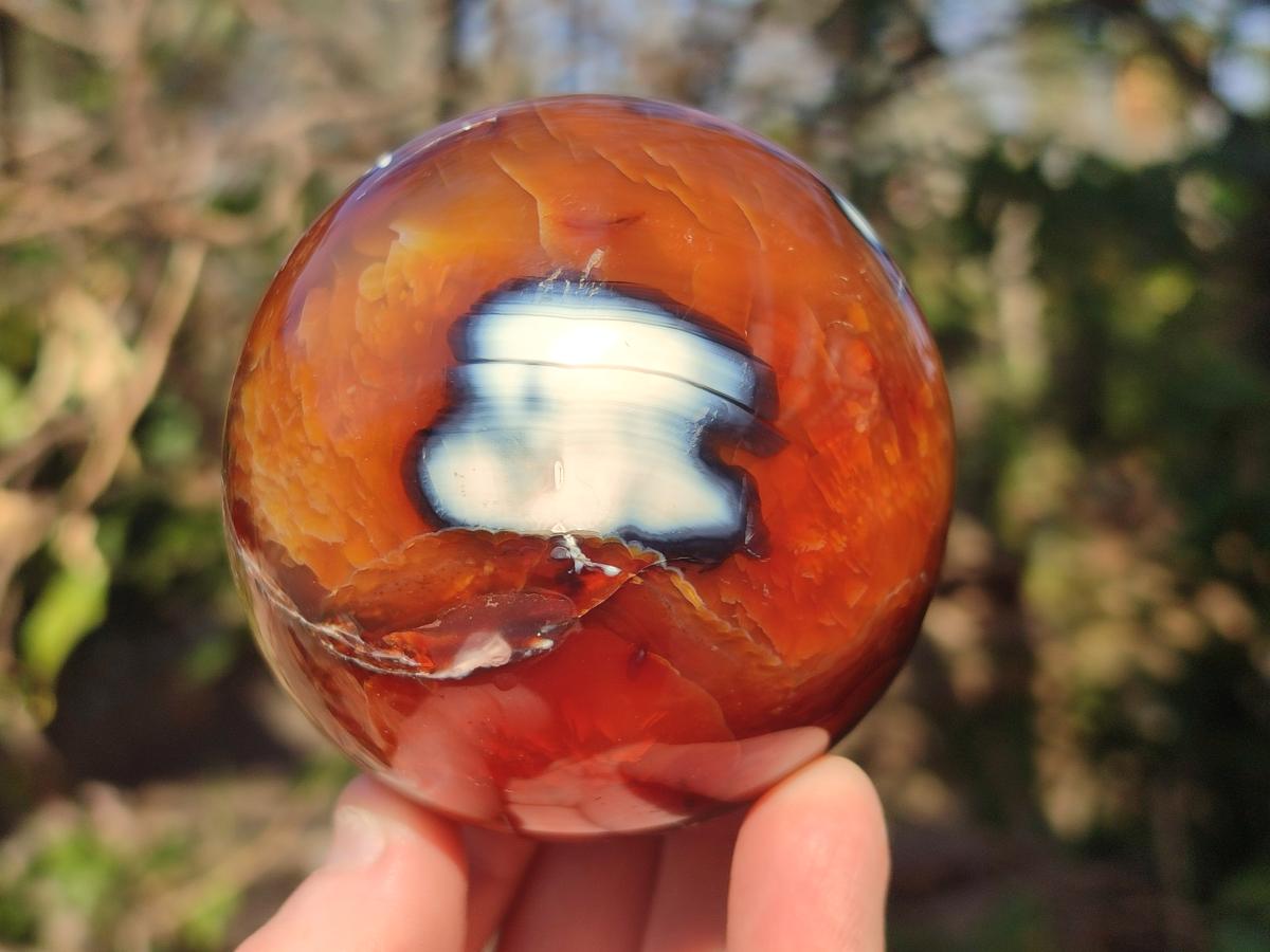 Polished Carnelian Agate Gemstone Spheres x 2 From Madagascar - Toprock Gemstones and Minerals 