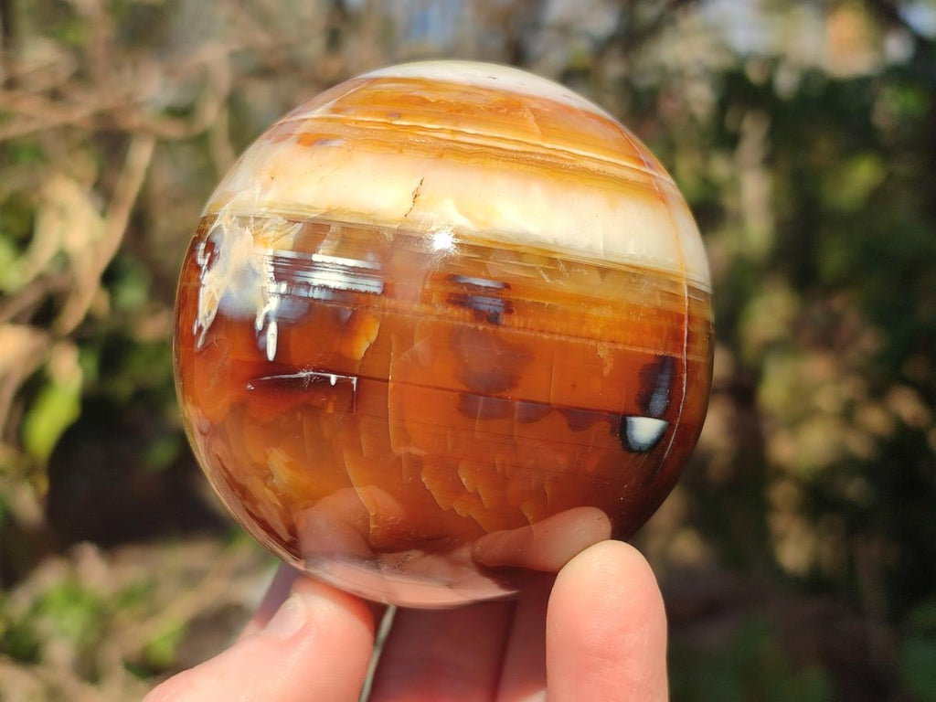 Polished Carnelian Agate Gemstone Spheres x 2 From Madagascar - Toprock Gemstones and Minerals 