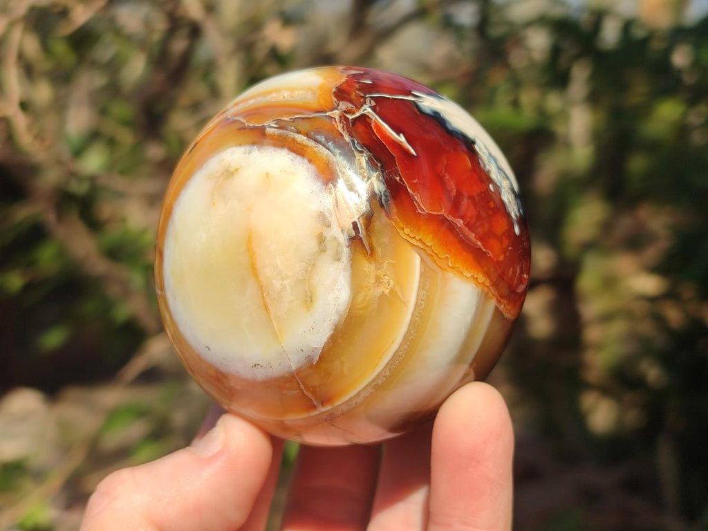 Polished Carnelian Agate Gemstone Spheres x 2 From Madagascar - Toprock Gemstones and Minerals 