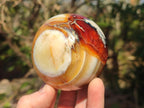 Polished Carnelian Agate Gemstone Spheres x 2 From Madagascar - Toprock Gemstones and Minerals 