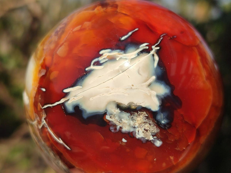 Polished Carnelian Agate Gemstone Spheres x 2 From Madagascar - Toprock Gemstones and Minerals 