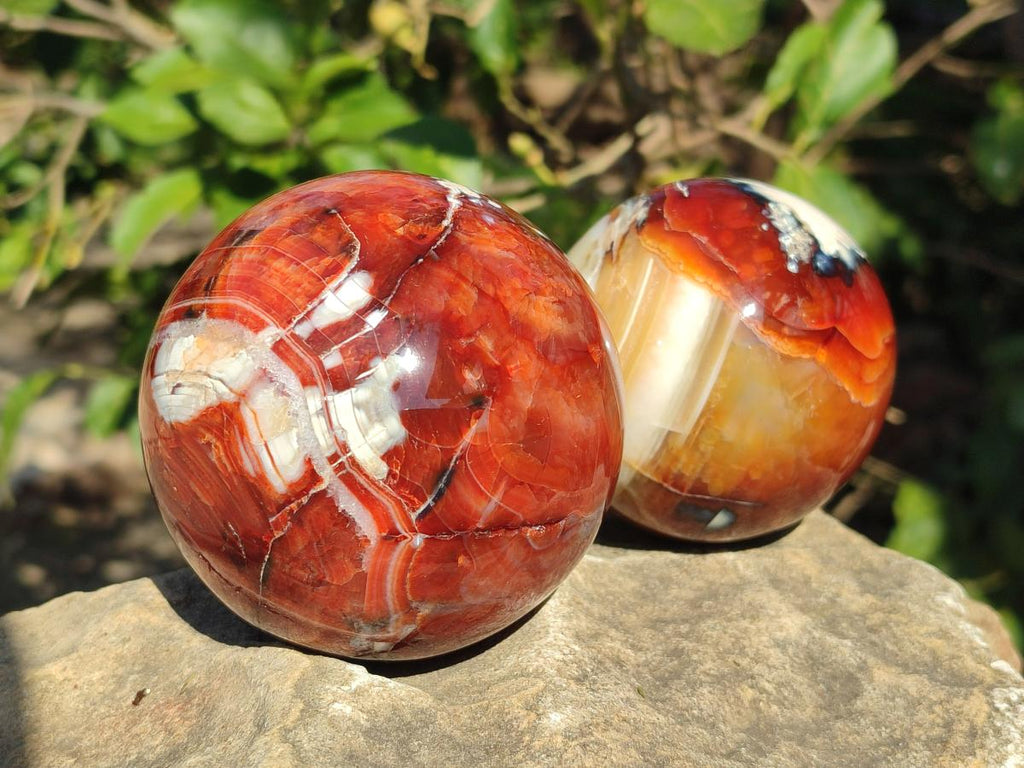 Polished Carnelian Agate Gemstone Spheres x 2 From Madagascar - Toprock Gemstones and Minerals 