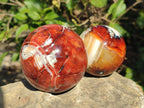Polished Carnelian Agate Gemstone Spheres x 2 From Madagascar - Toprock Gemstones and Minerals 