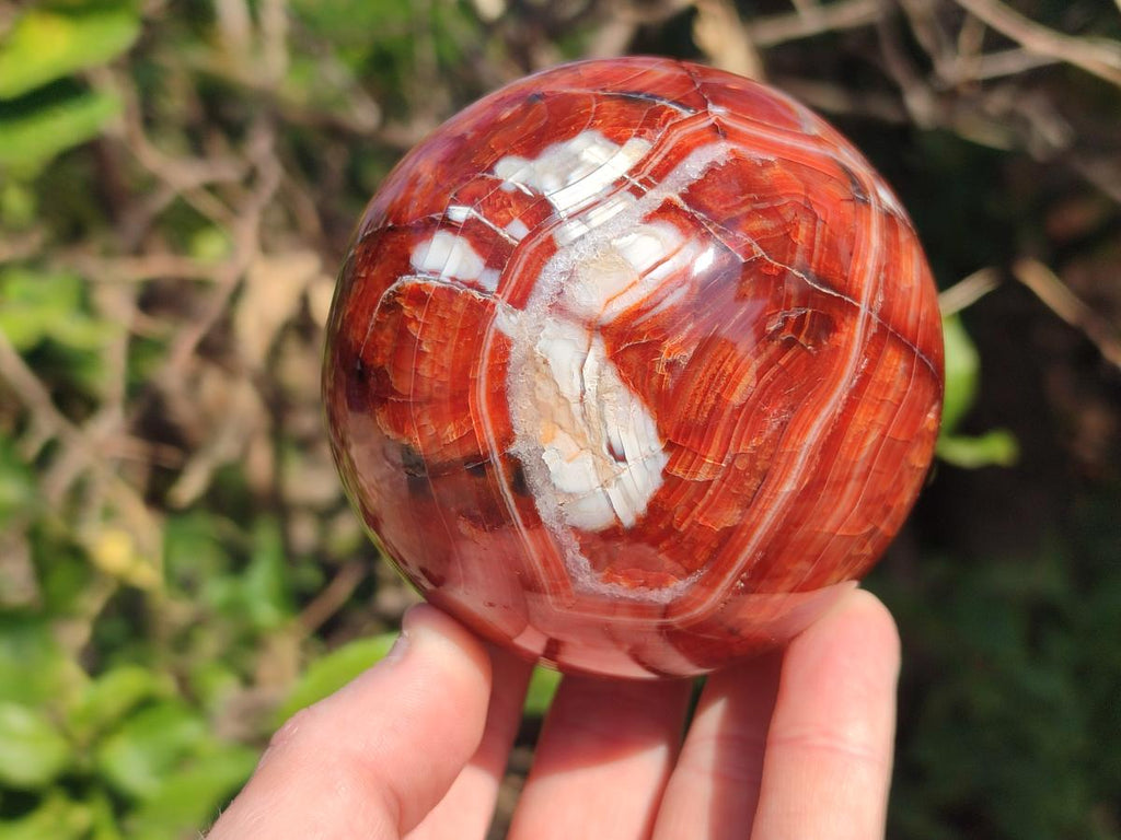 Polished Carnelian Agate Gemstone Spheres x 2 From Madagascar - Toprock Gemstones and Minerals 