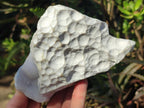 Natural Blue Lace Agate Specimens with Calcite x 3 From Namibia - Toprock Gemstones and Minerals 
