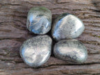 Polished Basalt Pharaoh Stone Galets x 4 From Iron Duke Mine, Zimbabwe - Toprock Gemstones and Minerals 