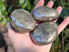 Polished Basalt Pharaoh Stone Galets x 4 From Iron Duke Mine, Zimbabwe - Toprock Gemstones and Minerals 