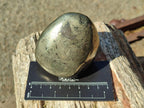 Polished Basalt Pharaoh Stone Galets x 4 From Iron Duke Mine, Zimbabwe - Toprock Gemstones and Minerals 