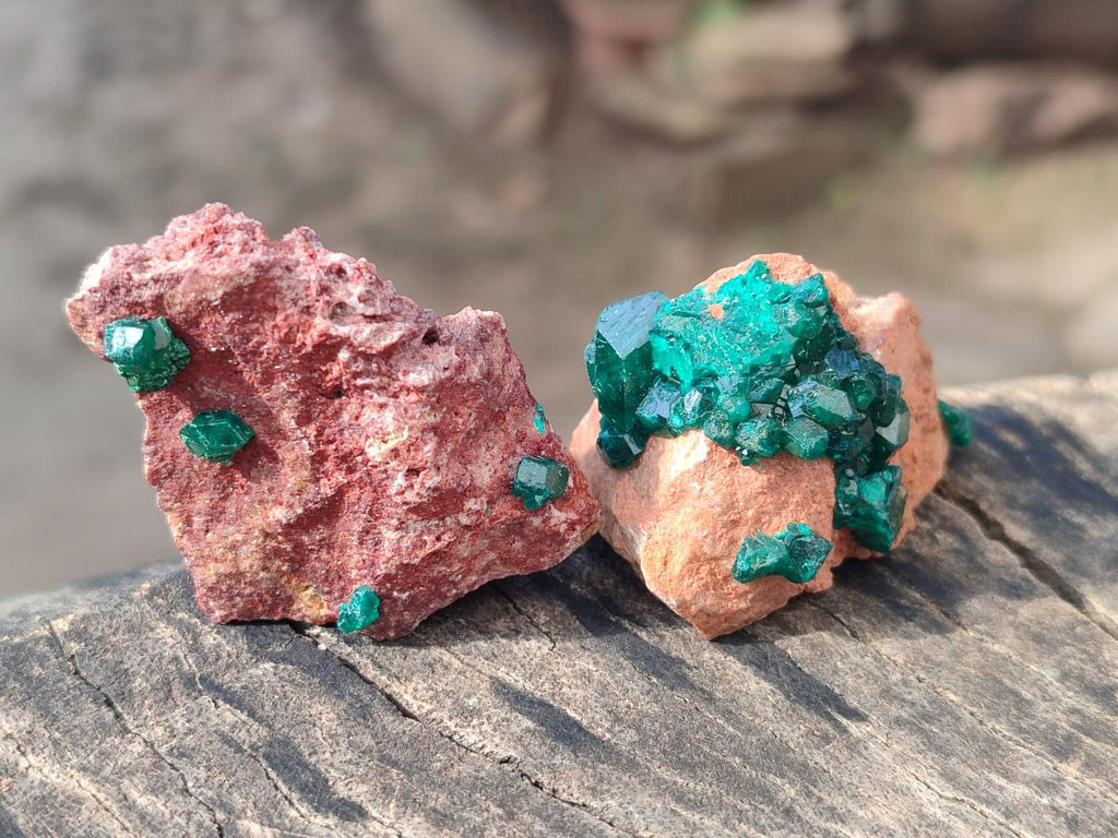 Natural Small Dioptase on Dolomite Specimens x 12 From Mashamba East Mine, Congo - Toprock Gemstones and Minerals 