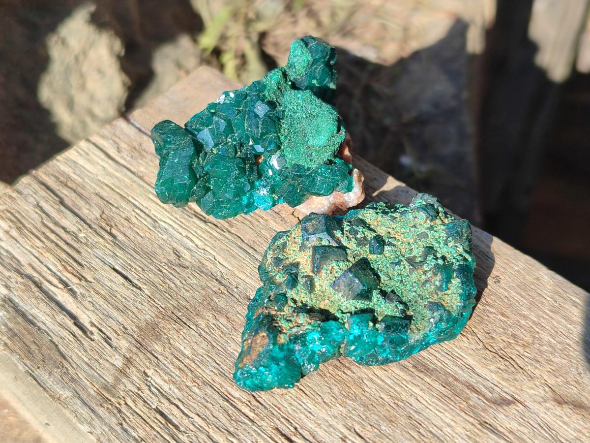 Natural Small Dioptase on Dolomite Specimens x 12 From Mashamba East Mine, Congo - Toprock Gemstones and Minerals 