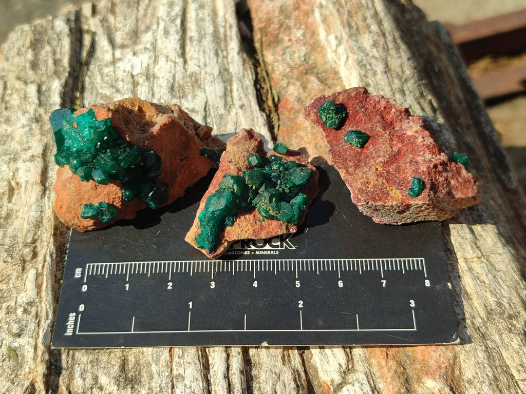 Natural Small Dioptase on Dolomite Specimens x 12 From Mashamba East Mine, Congo - Toprock Gemstones and Minerals 