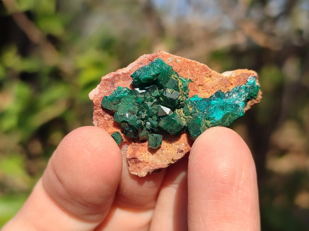 Natural Small Dioptase on Dolomite Specimens x 12 From Mashamba East Mine, Congo - Toprock Gemstones and Minerals 