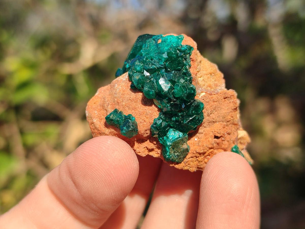 Natural Small Dioptase on Dolomite Specimens x 12 From Mashamba East Mine, Congo - Toprock Gemstones and Minerals 