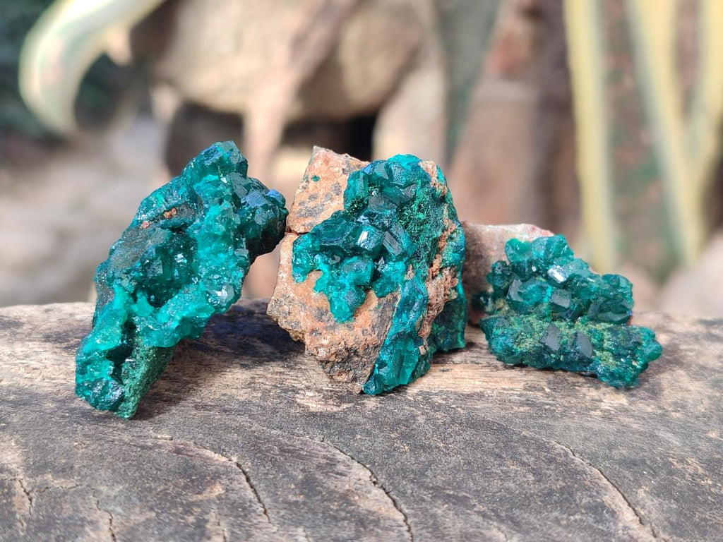 Natural Small Dioptase on Dolomite Specimens x 12 From Mashamba East Mine, Congo - Toprock Gemstones and Minerals 