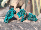 Natural Small Dioptase on Dolomite Specimens x 12 From Mashamba East Mine, Congo - Toprock Gemstones and Minerals 