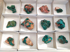 Natural Small Dioptase on Dolomite Specimens x 12 From Mashamba East Mine, Congo - Toprock Gemstones and Minerals 