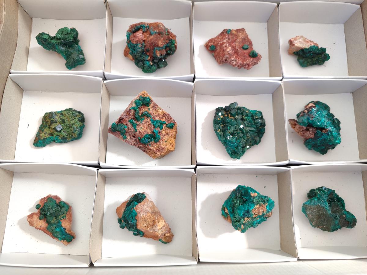 Natural Small Dioptase on Dolomite Specimens x 12 From Mashamba East Mine, Congo - Toprock Gemstones and Minerals 