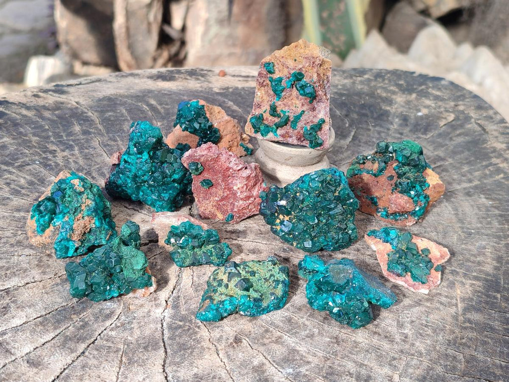 Natural Small Dioptase on Dolomite Specimens x 12 From Mashamba East Mine, Congo - Toprock Gemstones and Minerals 