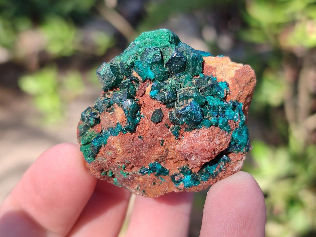 Natural Small Dioptase on Dolomite Specimens x 12 From Mashamba East Mine, Congo - Toprock Gemstones and Minerals 
