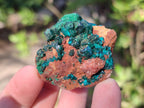 Natural Small Dioptase on Dolomite Specimens x 12 From Mashamba East Mine, Congo - Toprock Gemstones and Minerals 