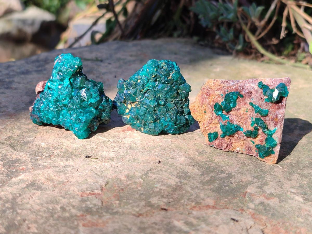 Natural Small Dioptase on Dolomite Specimens x 12 From Mashamba East Mine, Congo - Toprock Gemstones and Minerals 