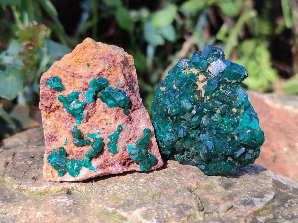 Natural Small Dioptase on Dolomite Specimens x 12 From Mashamba East Mine, Congo - Toprock Gemstones and Minerals 