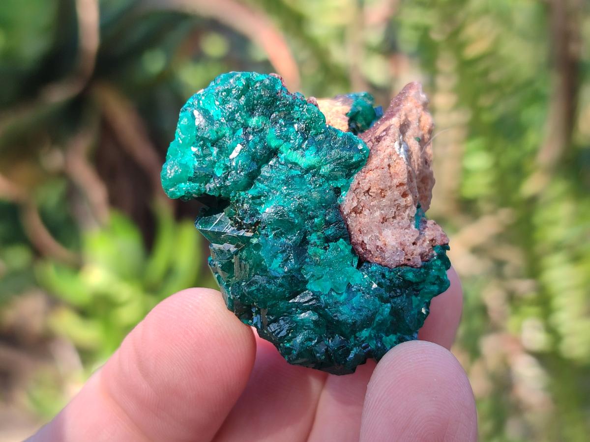 Natural Small Dioptase on Dolomite Specimens x 12 From Mashamba East Mine, Congo - Toprock Gemstones and Minerals 