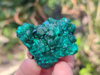 Natural Small Dioptase on Dolomite Specimens x 12 From Mashamba East Mine, Congo - Toprock Gemstones and Minerals 