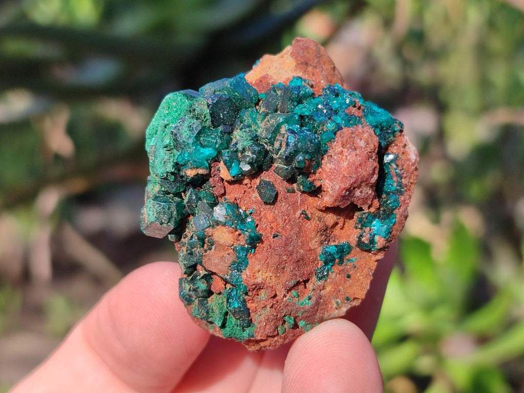 Natural Small Dioptase on Dolomite Specimens x 12 From Mashamba East Mine, Congo - Toprock Gemstones and Minerals 