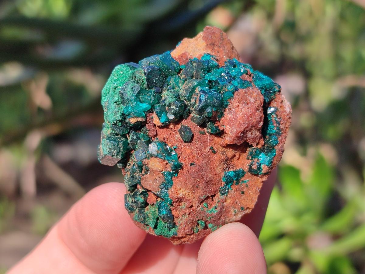 Natural Small Dioptase on Dolomite Specimens x 12 From Mashamba East Mine, Congo - Toprock Gemstones and Minerals 