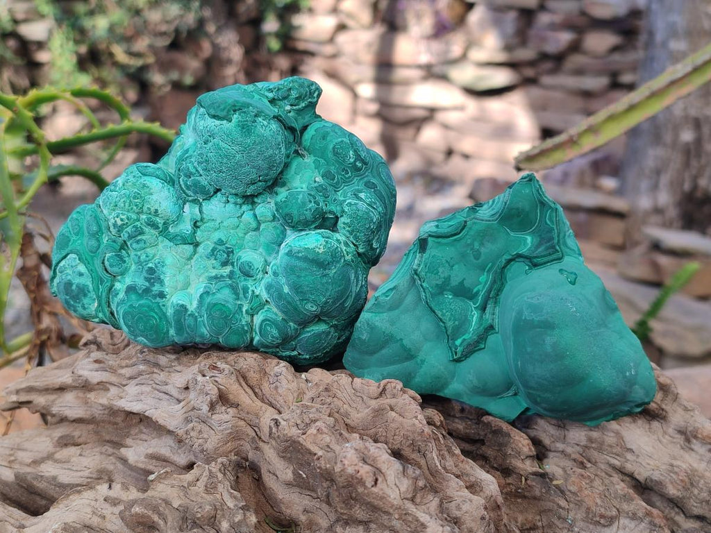 Natural Botryoidal Malachite Specimens x 6 From Congo - Toprock Gemstones and Minerals 