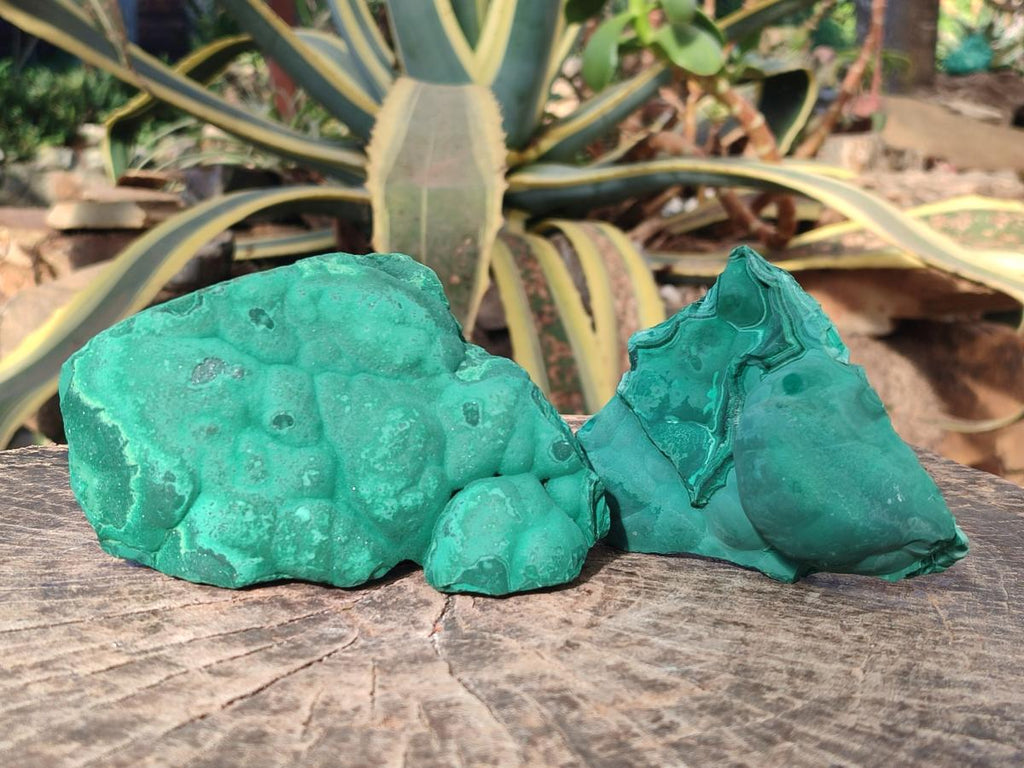 Natural Botryoidal Malachite Specimens x 6 From Congo - Toprock Gemstones and Minerals 