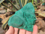 Natural Botryoidal Malachite Specimens x 6 From Congo - Toprock Gemstones and Minerals 
