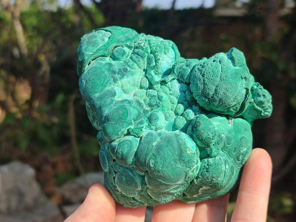 Natural Botryoidal Malachite Specimens x 6 From Congo - Toprock Gemstones and Minerals 