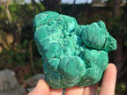 Natural Botryoidal Malachite Specimens x 6 From Congo - Toprock Gemstones and Minerals 