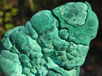 Natural Botryoidal Malachite Specimens x 6 From Congo - Toprock Gemstones and Minerals 