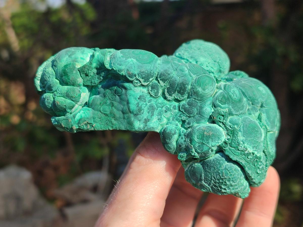 Natural Botryoidal Malachite Specimens x 6 From Congo - Toprock Gemstones and Minerals 