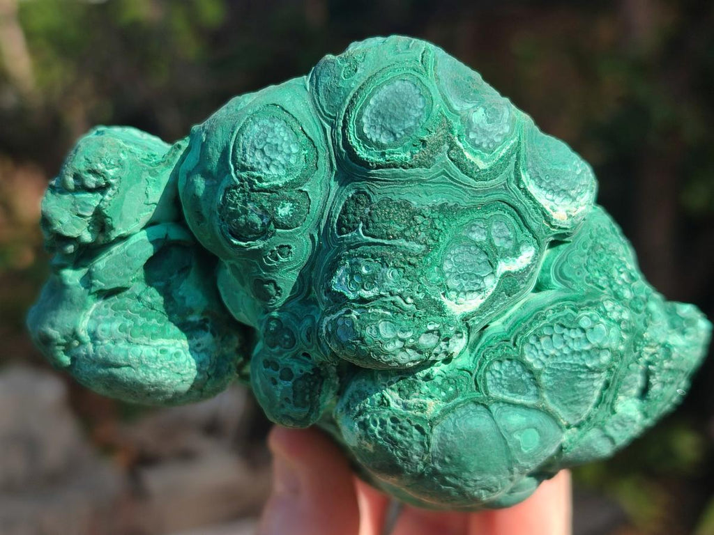 Natural Botryoidal Malachite Specimens x 6 From Congo - Toprock Gemstones and Minerals 
