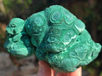 Natural Botryoidal Malachite Specimens x 6 From Congo - Toprock Gemstones and Minerals 