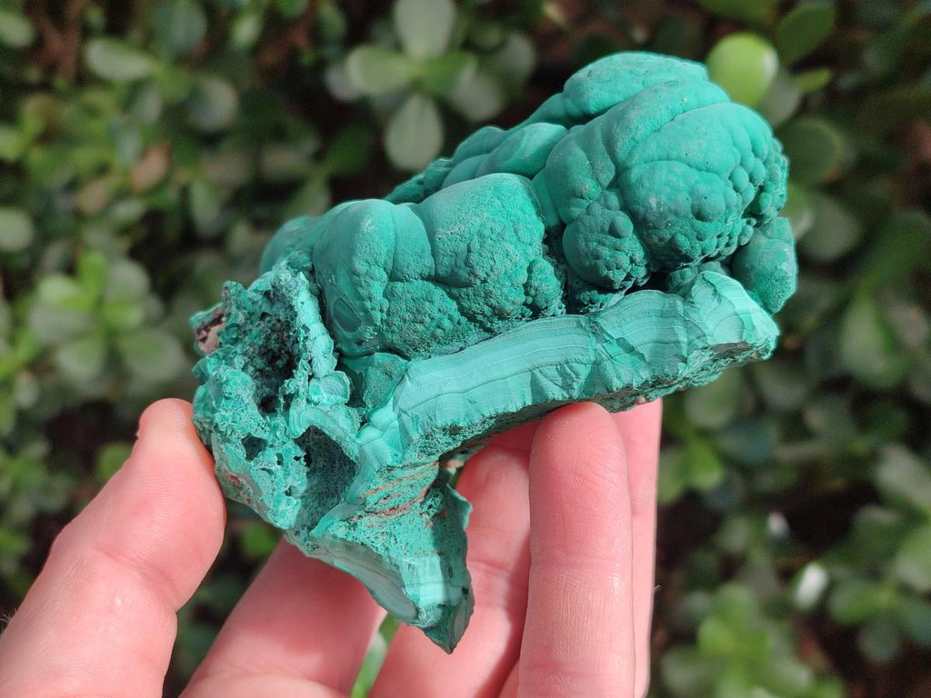 Natural Botryoidal Malachite Specimens x 6 From Congo - Toprock Gemstones and Minerals 