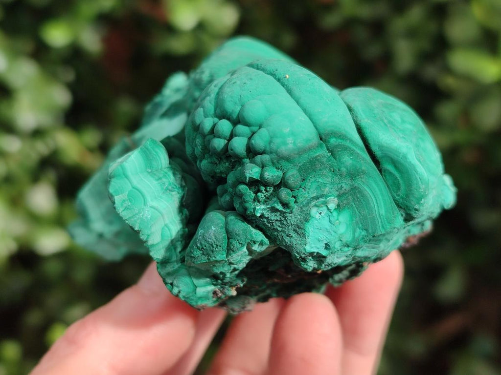 Natural Botryoidal Malachite Specimens x 6 From Congo - Toprock Gemstones and Minerals 