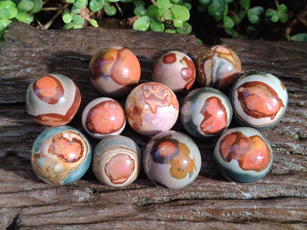Polished Polychrome Jasper Spheres x 12 From Androka, Madagascar - Toprock Gemstones and Minerals 