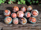 Polished Polychrome Jasper Spheres x 12 From Androka, Madagascar - Toprock Gemstones and Minerals 