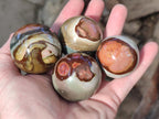 Polished Polychrome Jasper Spheres x 12 From Androka, Madagascar - Toprock Gemstones and Minerals 
