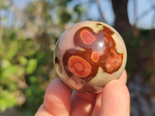 Polished Polychrome Jasper Spheres x 12 From Androka, Madagascar - Toprock Gemstones and Minerals 